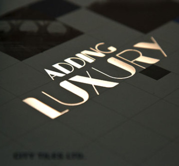 Signova Brochure Design
